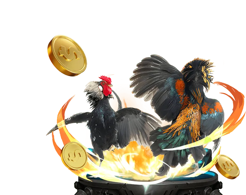 Đá gà trực tuyến kịch tính tại e2bet